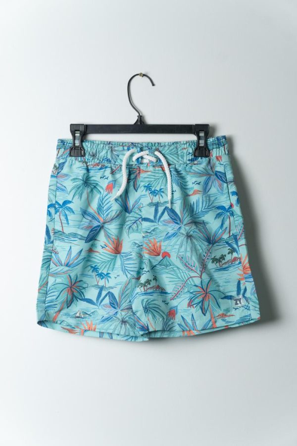 Swim Shorts