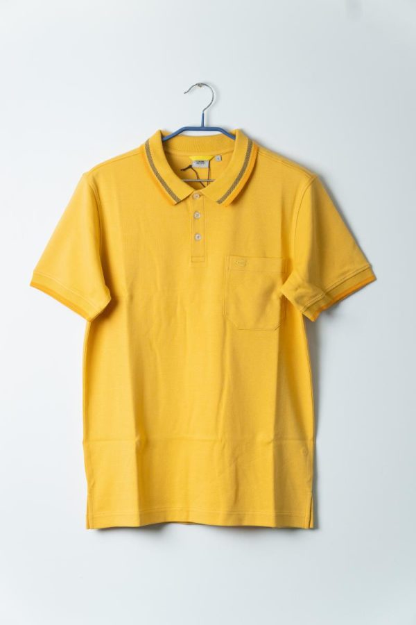 Mens Polo Shirt